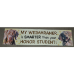 "My Weimaraner Is Smarter Than Your Honor Student"